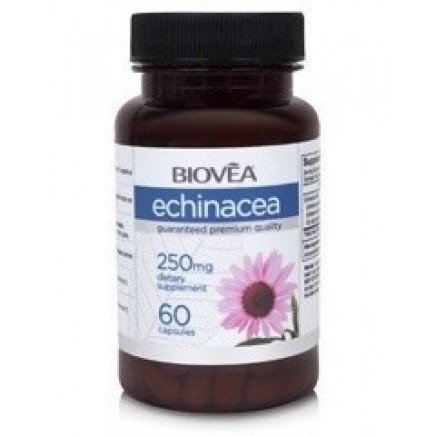 Ехинацея (Echinacea) капсули Топ Цена | Biovea