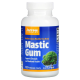 Мастикова смола (Mastic Gum) на капсули Цена | Jarrow Formulas