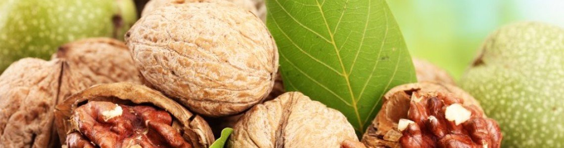 Полезните свойства на орехите